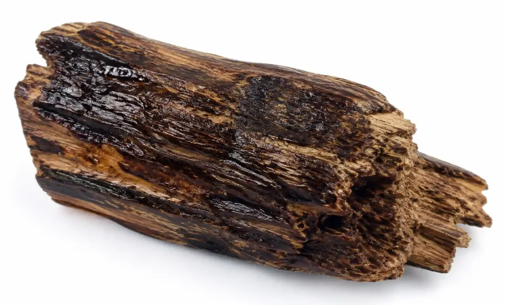 Premium grade agarwood showing dark resinous streaks and complex grain marbling